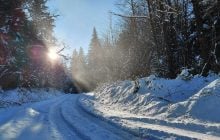 Леса на Львовщине засыпало снегом: это стоит увидеть (фоторепортаж)