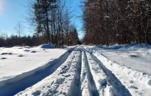 Де в Україні у понеділок будуть найбільші морози: Діденко дала прогноз на 12 січня