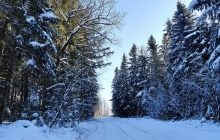 Перед выходными в Украине станет холоднее