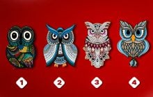 Який у вас стиль спілкування з оточуючими: вибір сови дуже точно вас опише