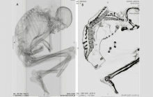 Вчені знайшли мумію чоловіка, який помер в результаті нещасного випадку на шахті понад тисячу років тому