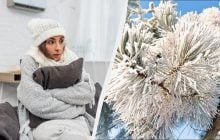 Як зігрітися в холодній квартирі: 8 способів, які дійсно працюють