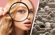 Лише кожен третій зі 100 може знати всіх собак на зображенні за 12 секунд: складна головоломка