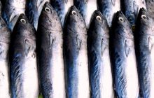 Почему скумбрия разлазится и сколько месяцев ее можно хранить: объяснение диетолога