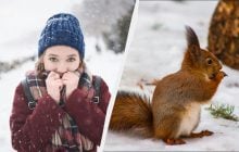 15 січня - професійне свято в Україні: чому не можна довіряти незнайомцям