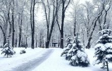 Какая будет погода в Киеве до конца января: прогноз Укрогидрометцентра