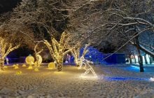 Магія світла: парк вогнів на ВДНГ під снігом засяяв по-новому (фоторепортаж, відео)