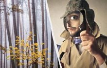 Тільки 2% людей можуть знайти білку в лісі за 12 секунд: дивовижна оптична ілюзія