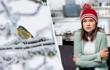 Морози в Україні посиляться до -25° й можуть тривати аж до лютого, - синоптик