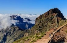 Мадейра – найбільш трендовий напрямок 2026 року: яка ситуація там у січні (фоторепортаж)