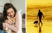 Не тільки собаки "найкращі друзі людини": вчені дізналися, хто ще розуміє людей без слів