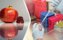 Можно ли есть гранат с косточками: польза, вред и рекомендации ученых