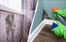 Копійчаний засіб "вбиває" цвіль за 1 годину: можна застосовувати у ванній та на стінах