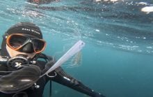 Дайвер натрапив на рідкісну глибоководну рибу всього в п'яти метрах від поверхні моря (фото)