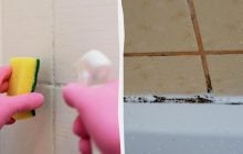 Идеальная чистота в ванной: чем отмыть плитку и швы от грибка без жесткой щетки