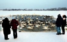 22 января погода в Киеве начнет меняться