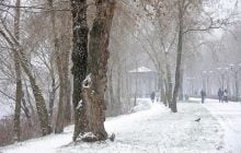 23 января в Киеве заснежит