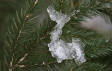 26 января в Украину ворвется оттепель: почти по всей стране будет "плюс"