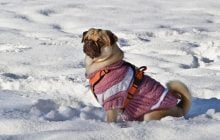 В Украину пришло долгожданное потепление, но морозы скоро вернутся