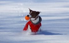 Значительное потепление уже на носу, морозы отступят, - синоптик