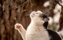 Перші весняні сигнали: синоптик заговорив про зміну погоди в Україні