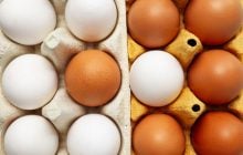Які яйця краще брати: білі чи коричневі - що корисніше для здоров'я