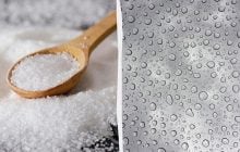 Окна больше не будут "плакать": что поставить на подоконник