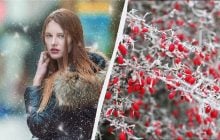 Важливе історичне свято в Україні: чому 28 січня на підлогу ставлять миску каші