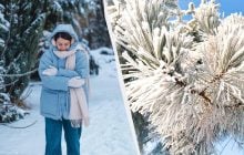 Синоптики дали прогноз погоди на лютий 2026: коли потеплішає і скільки буде снігу