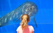 Вчені знайшли істот, що користуються іменами майже як люди