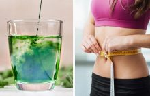 Хлорофіл для схуднення: звідки взявся тренд і чому він не працює