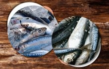 Звідки оселедець і скумбрія в магазинах, і як визначити їхню якість: відповідь Держспоживслужби