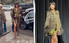 Дакота Джонсон гучно повернула в моду культові туфлі (фото, відео)