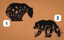 Интернет покоряет новый тест: психологический разбор вашей личности