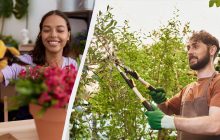 Вони можуть цього не пережити: які рослини не слід обрізати взимку