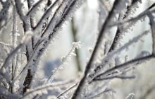 17 лютого морози в Україні посиляться