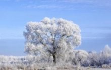 Февраль в Украине начнется с сильных морозов, только в одной области будет "плюс"