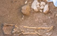 Человечество практически вымерло 900 тысяч лет назад: биолог объяснил, что произошло