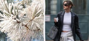 Чем заменить футболку этой зимой, чтобы образ выглядел дороже: ответ есть