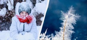 Свято 8 січня 2026 року в Україні: кого потрібно запросити в гості за прикметами