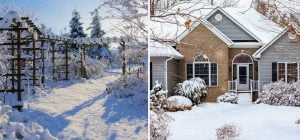 Що треба зробити в саду у січні: 7 порад королівського садівника