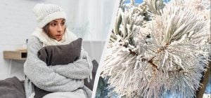 Как согреться в холодной квартире: 8 способов, которые действительно работают