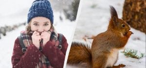 15 січня - професійне свято в Україні: чому не можна довіряти незнайомцям