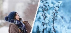 Яке свято відзначають українці 18 січня: суворо заборонено робити три речі