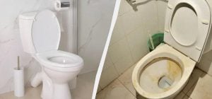 Дві столові ложки змішати з водою - і унітаз буде білосніжним: що це за засіб