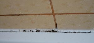 Как проветрить ванную без окна: 7 простых способов избавиться от влаги