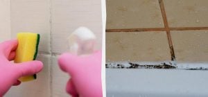 Идеальная чистота в ванной: чем отмыть плитку и швы от грибка без жесткой щетки