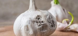 Чому не можна зберігати часник у холодильнику: що з ним буде