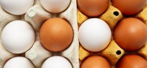Які яйця краще брати: білі чи коричневі - що корисніше для здоров'я
