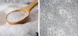 Окна больше не будут "плакать": что поставить на подоконник